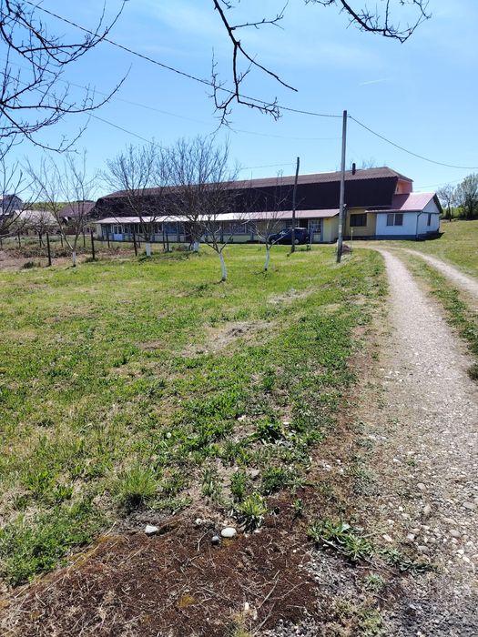 Teren cu casa Badon