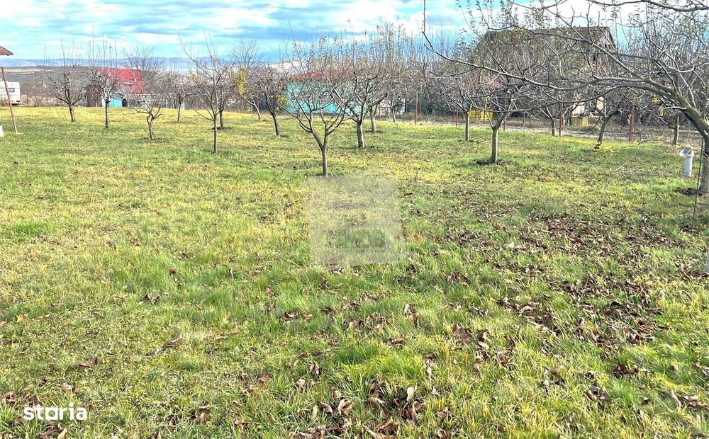 Teren intravilan 1000 mp utilitati Daia Noua 10 minute de Sibiu