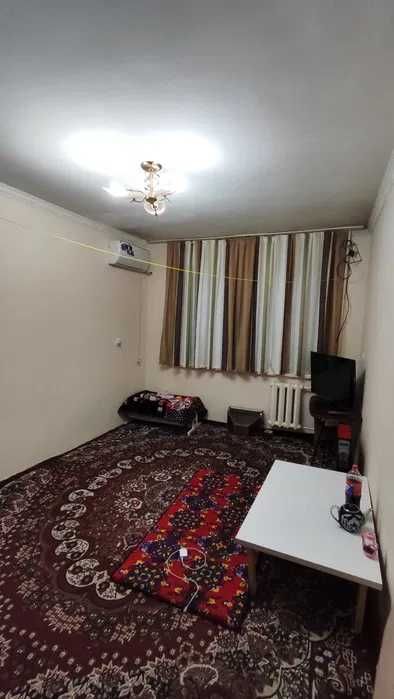 Сампи 1 комнатная