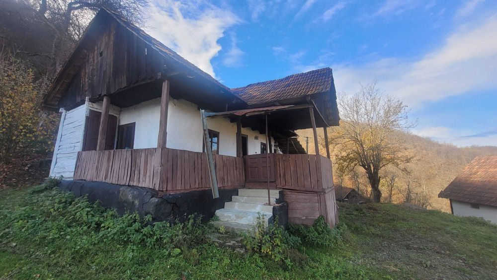 Vanzare teren in Judetul Hunedoara (cu casa)