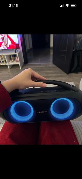 Boxa portabila Soundbox 300