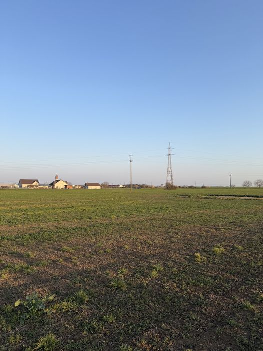 Teren intravilan Livada de Bihor