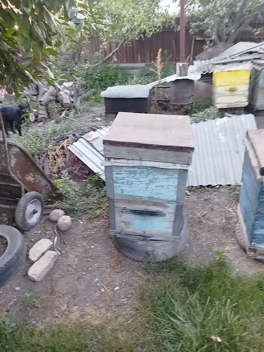 Улики для пчел двух ярусные