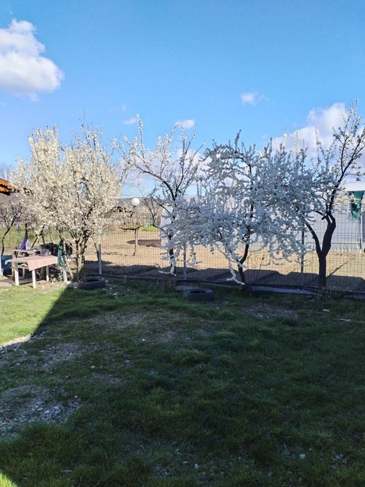 Casa cu etaj, 4 camere, teren 1600 mp, panouri 5 kw