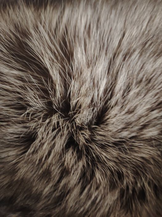 Мех чернобурка цельный