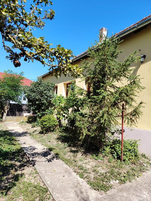 Casa de vânzare la țară zona Răbăgani jud Bihor