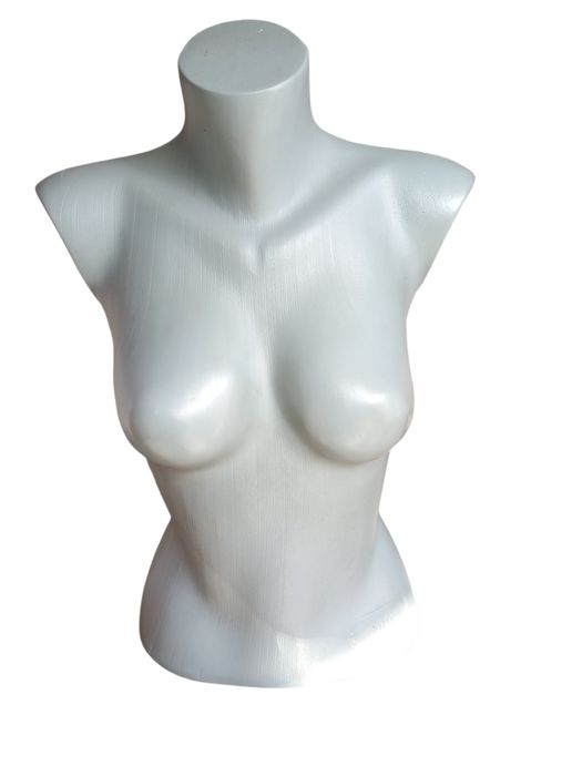 Продавам д амски торсове за магазин