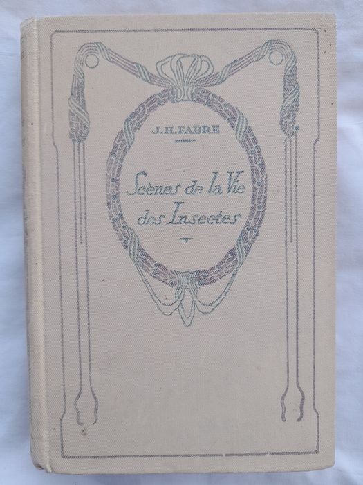 Scènes de la vie des insectes