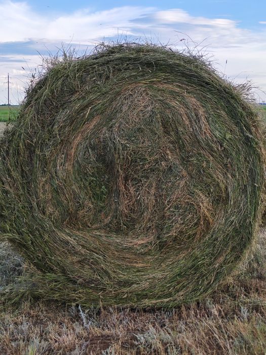 Продам сено  по 9000