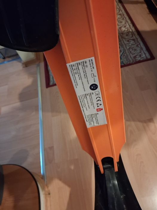 Trotineta copii zapada