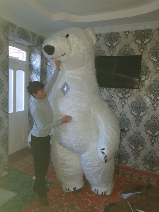 Ayiqlar optim narxda айиклар