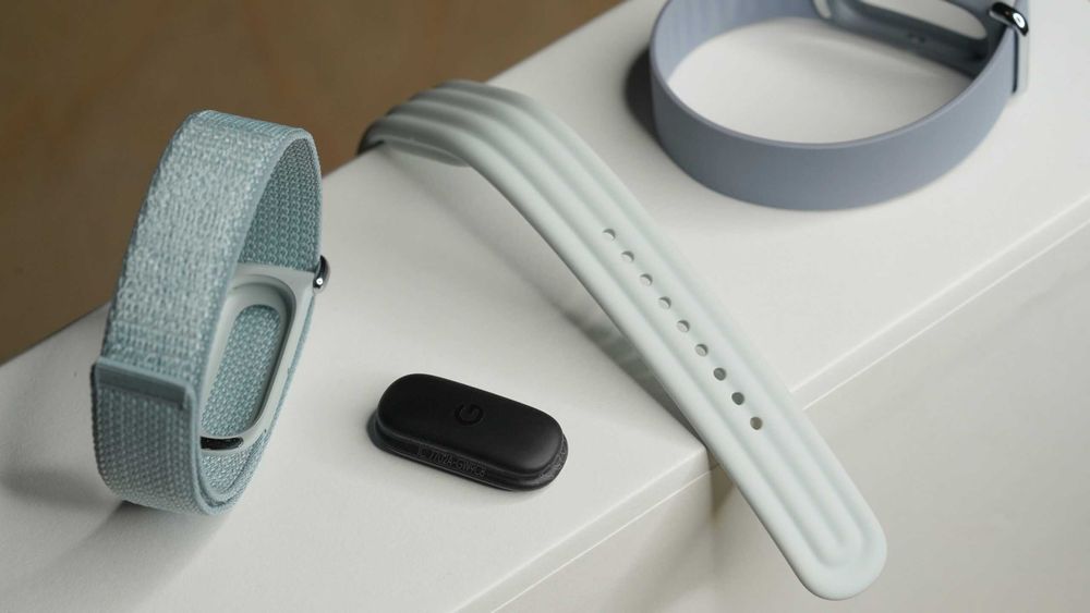 Google Fitbit Air