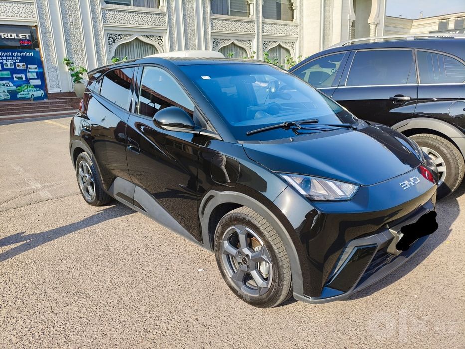 BYD sigel 2024 yil