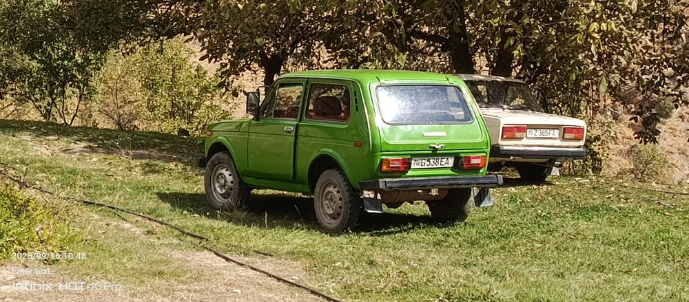 Radnoy NIVA 4 balon yangi chirigi yoʻq suvarka tegmaga li salon qiling