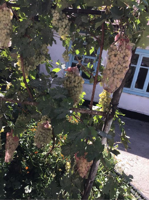 Продается  уютный дом в хорошем районе