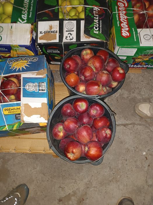 Продам отборные яблоки