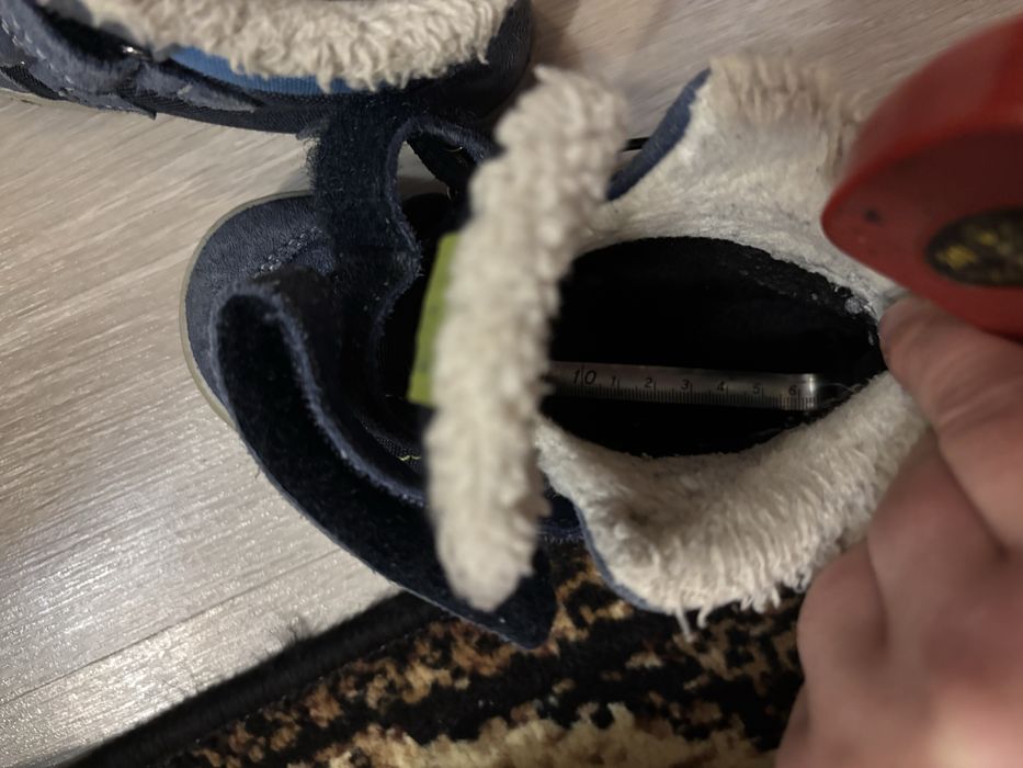 Bocanci albastri nr.26