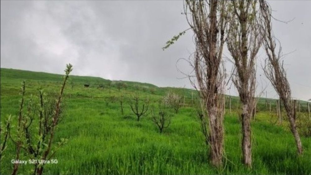 Продам земельный участок 6 соток