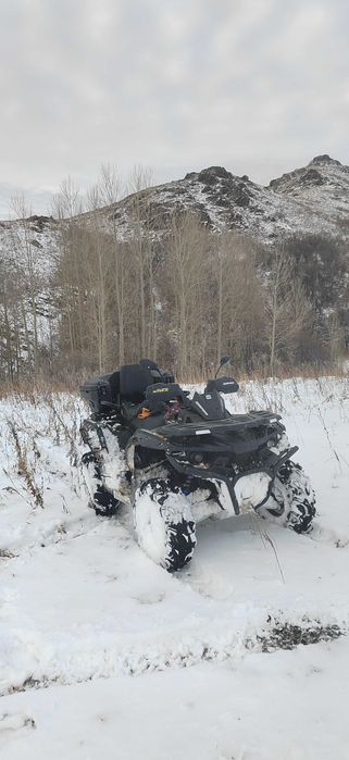 Квадроцикл Stels geupard 800