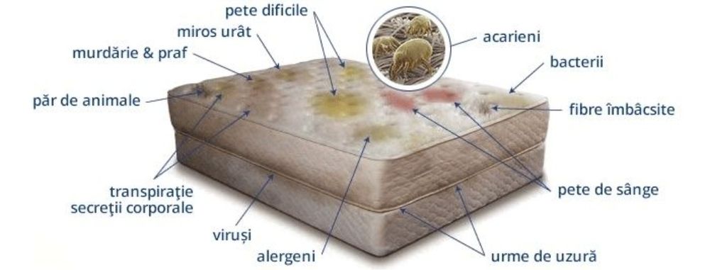 Curățare canapele, saltele,preturi neg.,igienizare injecție-extracatie