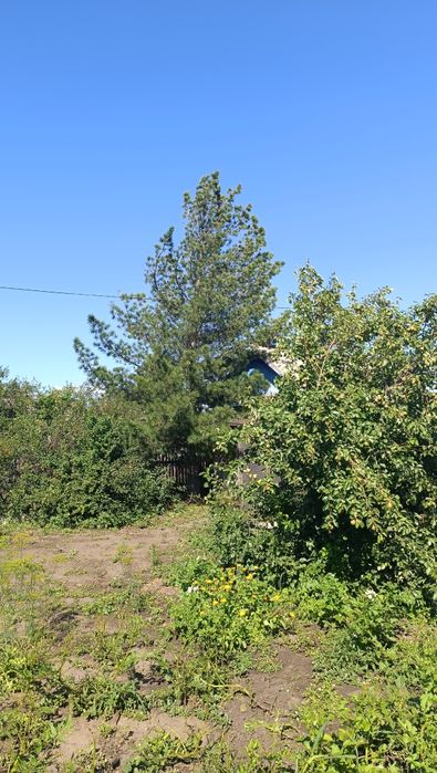 Продам Дачу Со Геолог