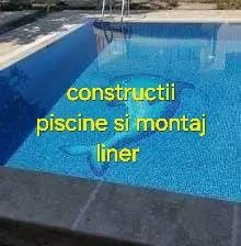 Piscinar intretinere  piscine si camine tehnice  Buc-il