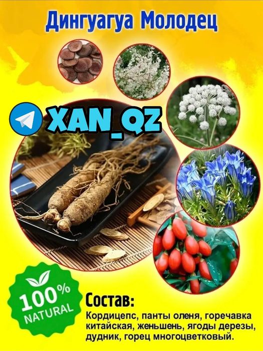 оригинальный мотиватор падингуанаш