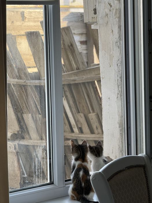 Марғау беріледі