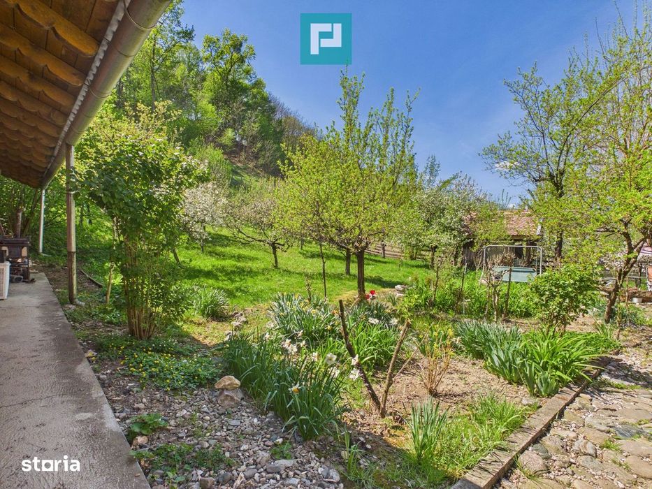 Casă Câmpani, 8000 mp teren, la poalele Apusenilor