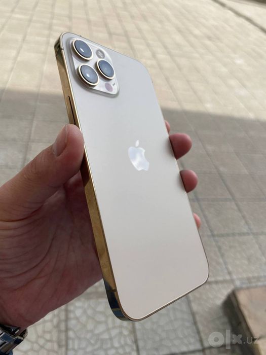 iPhone 12 pro max
