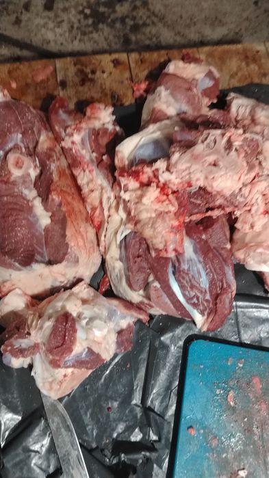 Ерментауское мясо.