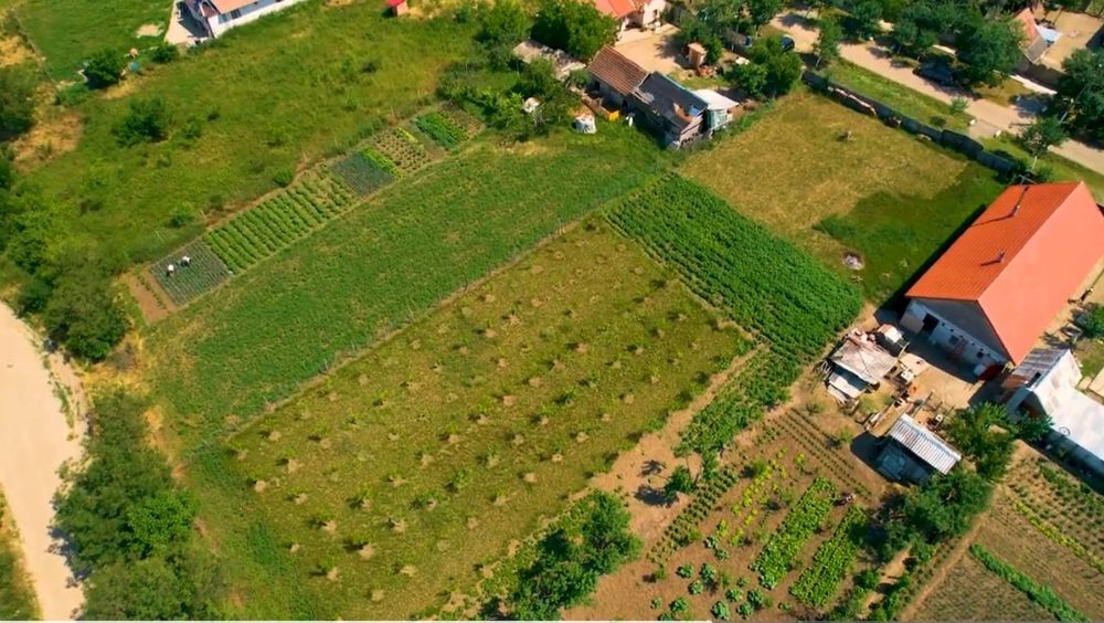 Loc de casă intravilan – Felnac | 1440 mp | Utilități la stradă - Vedere 2
