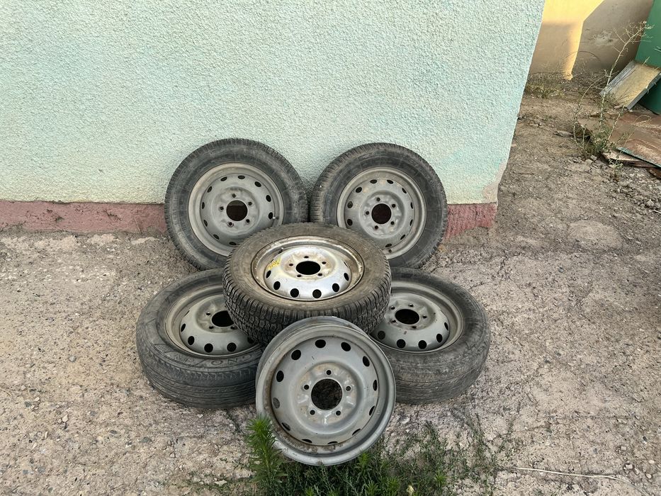 Нива балондар дискасымен