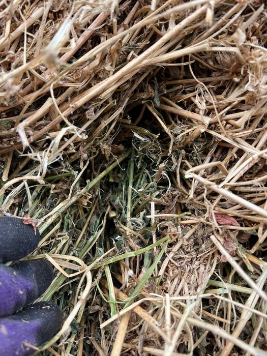 Baloti lucerna coasa 3-4