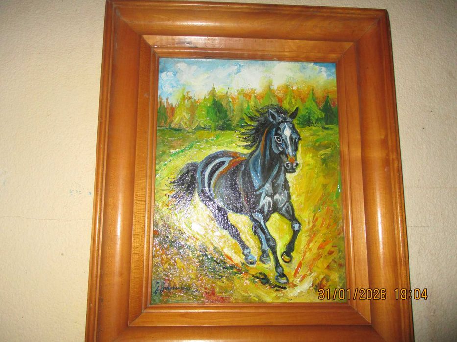 tablou-cal în galop. studiu.