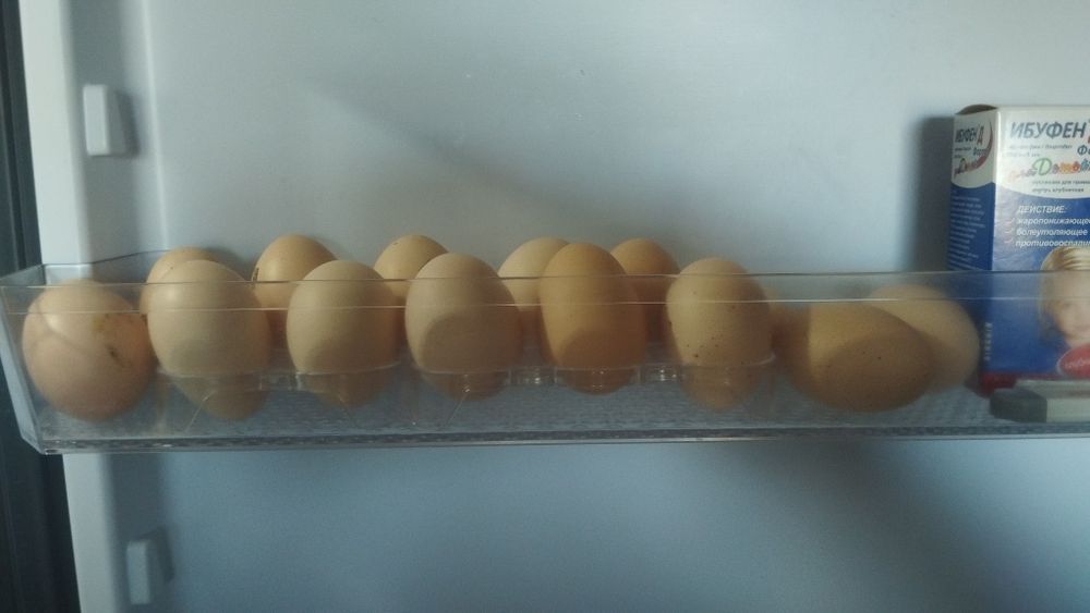 Срочно продам домашний курей