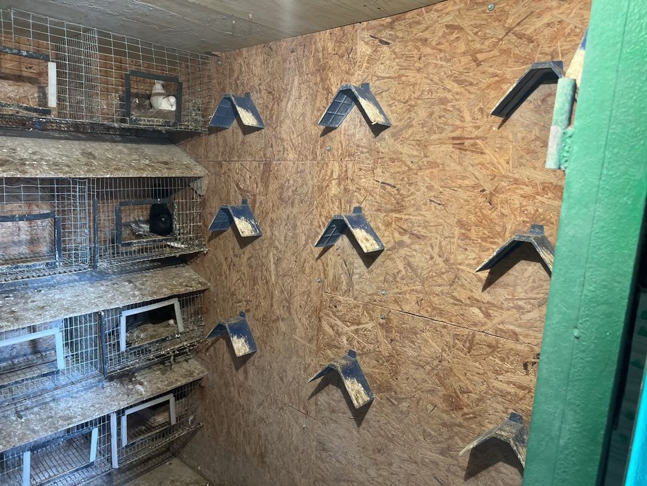 Продам голубятник