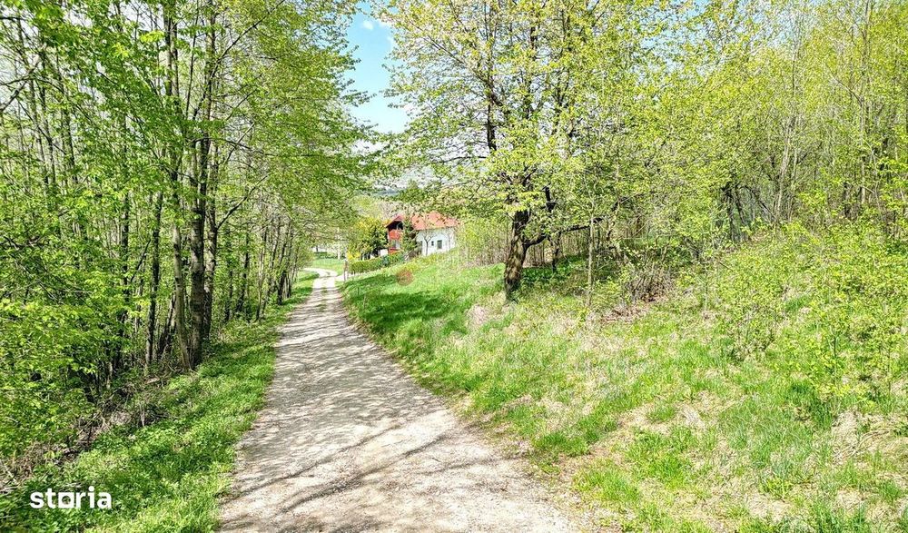 Teren intravilan Bran- Predelut