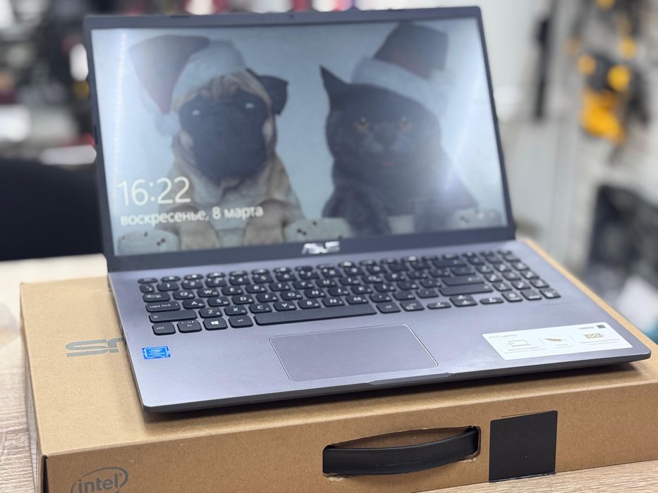 Ноутбук Asus laptop X509MA(os14b)