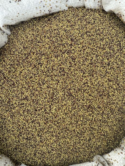 Vand seminte de lucerna,trifoi,ghizdei si iarba extra