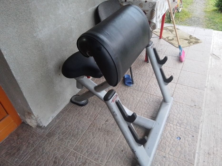 Bănci discuri gantere bări