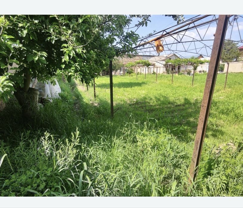 Yer uchastkasi sotiladi 1 sotixi - 8000$