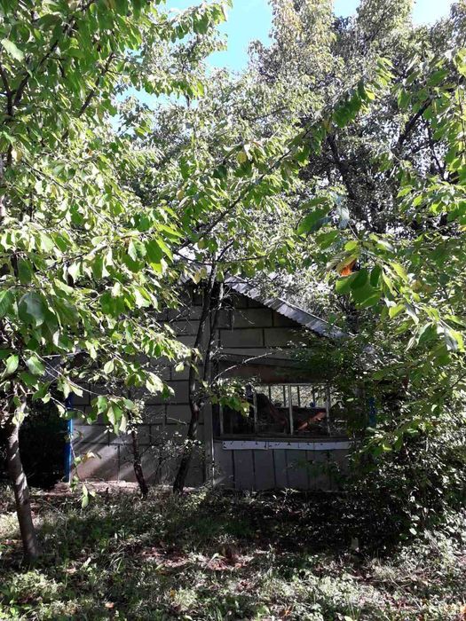 Продава се Земеделски имот в Враца, Вежен -  кв.м за 12750 €/дка - Снимка #4