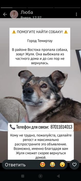 Потеряшка .Пропала собака