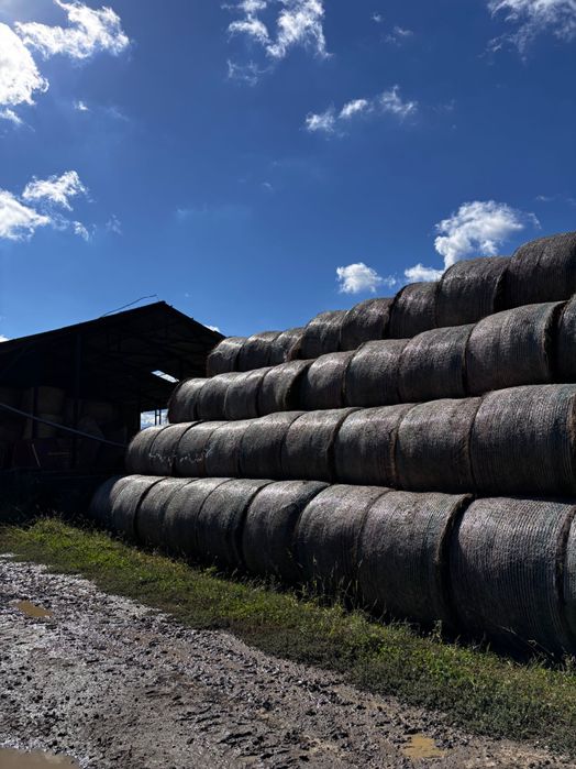 Baloturi de fân de primă calitate – mari, dense– 370/400 kg – 200 lei