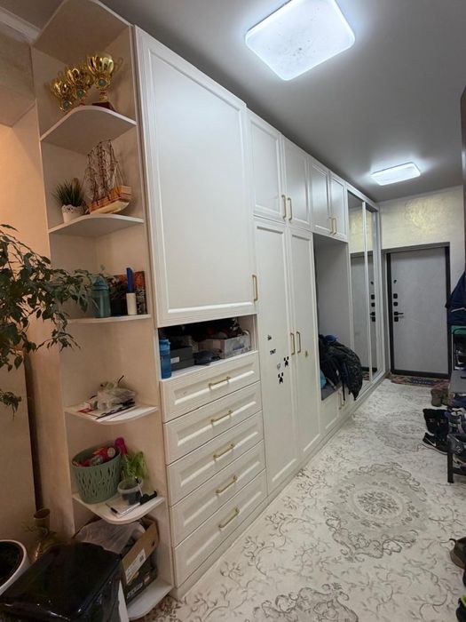 прихожая. шкаф 4.65