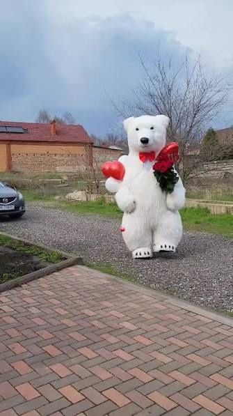 Белый мишка поздравит