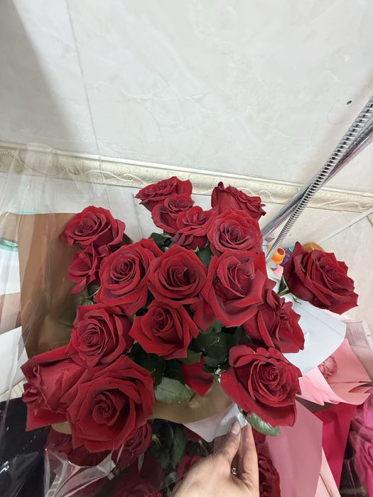 Цветы розы свежие