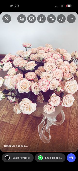 Нәзік әрі сәнді букет-спрей роза.