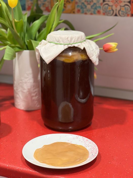 SCOBY + Lichid Starter Puternic – Pentru Kombucha de Casă